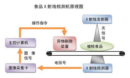 食品生物技術(shù)的發(fā)展趨勢與生物研究的前沿探索