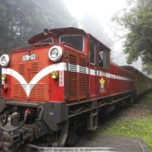 中亞物流新動(dòng)脈 新疆泰運(yùn)集團(tuán)遠(yuǎn)影國際貨運(yùn)的多式聯(lián)運(yùn)優(yōu)勢解析